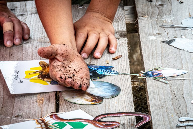 Activités au Jardin