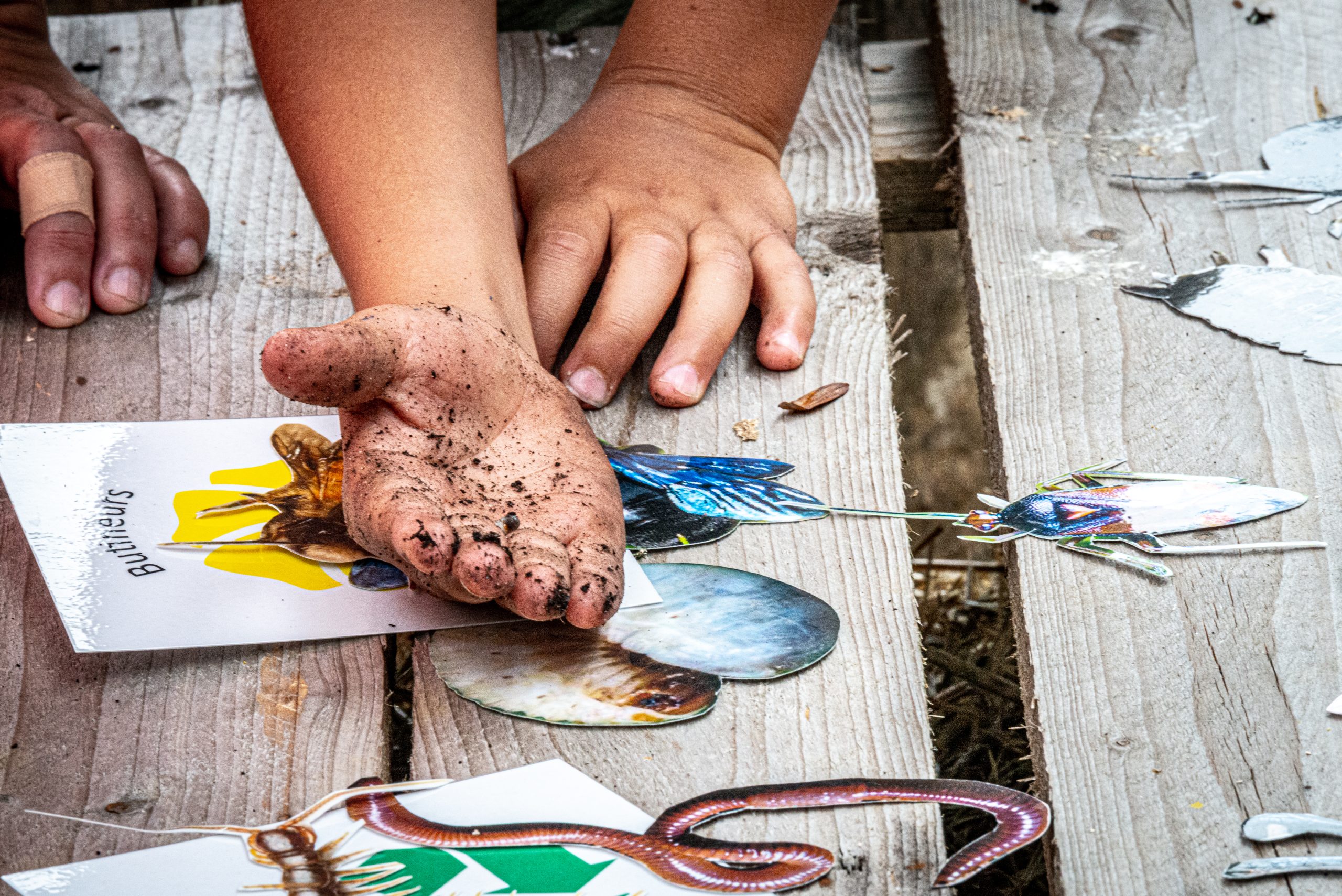 Activités au Jardin