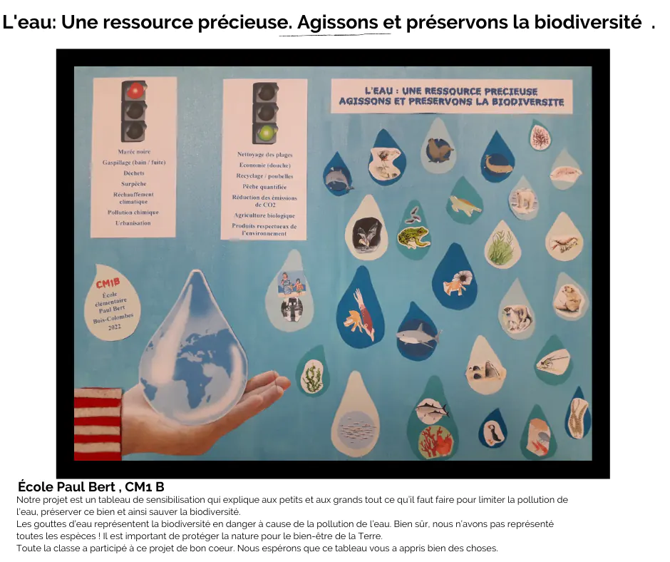 Les P'tits citoyens de l'eau 2021-2022 présentent leurs idées pour la biodiversité