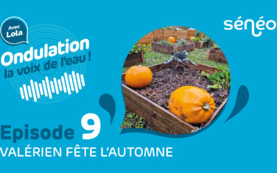 Podcast Sénéo – Épisode 9 – Valérien et Lola fêtent l’automne