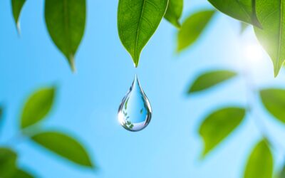 Évolution de la redevance de l’eau : Sénéo limite l’impact sur la facture des usagers