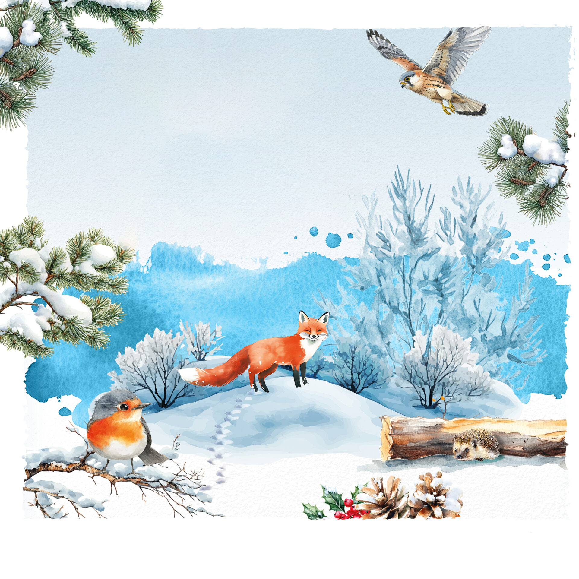 Sénéo, fête l’hiver