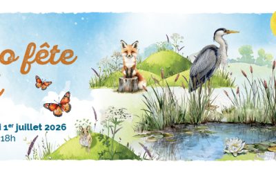 Sénéo fête l’été : les inscriptions sont ouvertes !